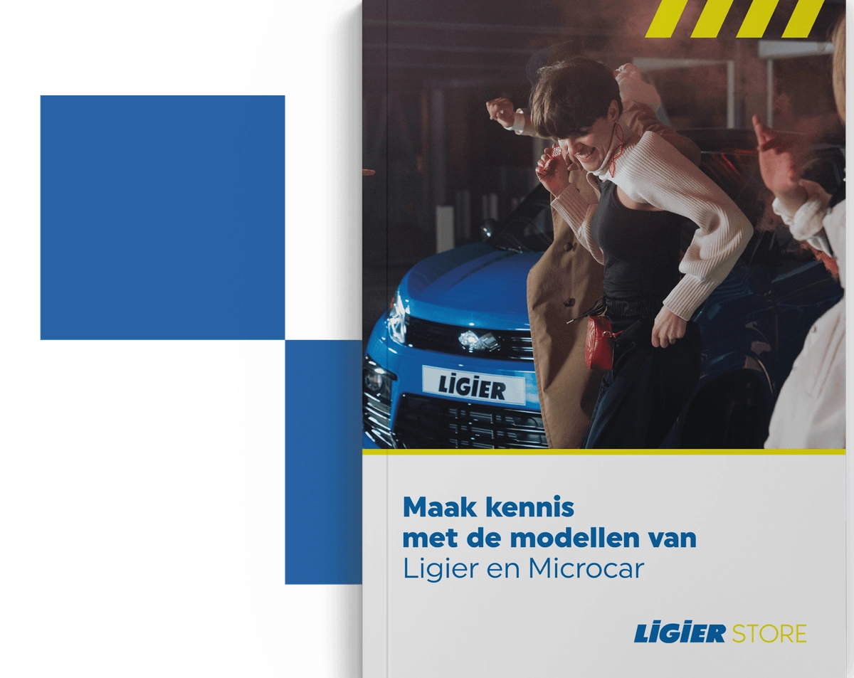 E-book Ligier store doebsurg experience concept.png